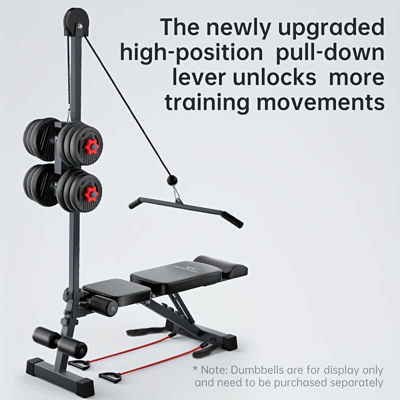 Dumbbell Sit-Up Bench Home Gym Equipment product image 2