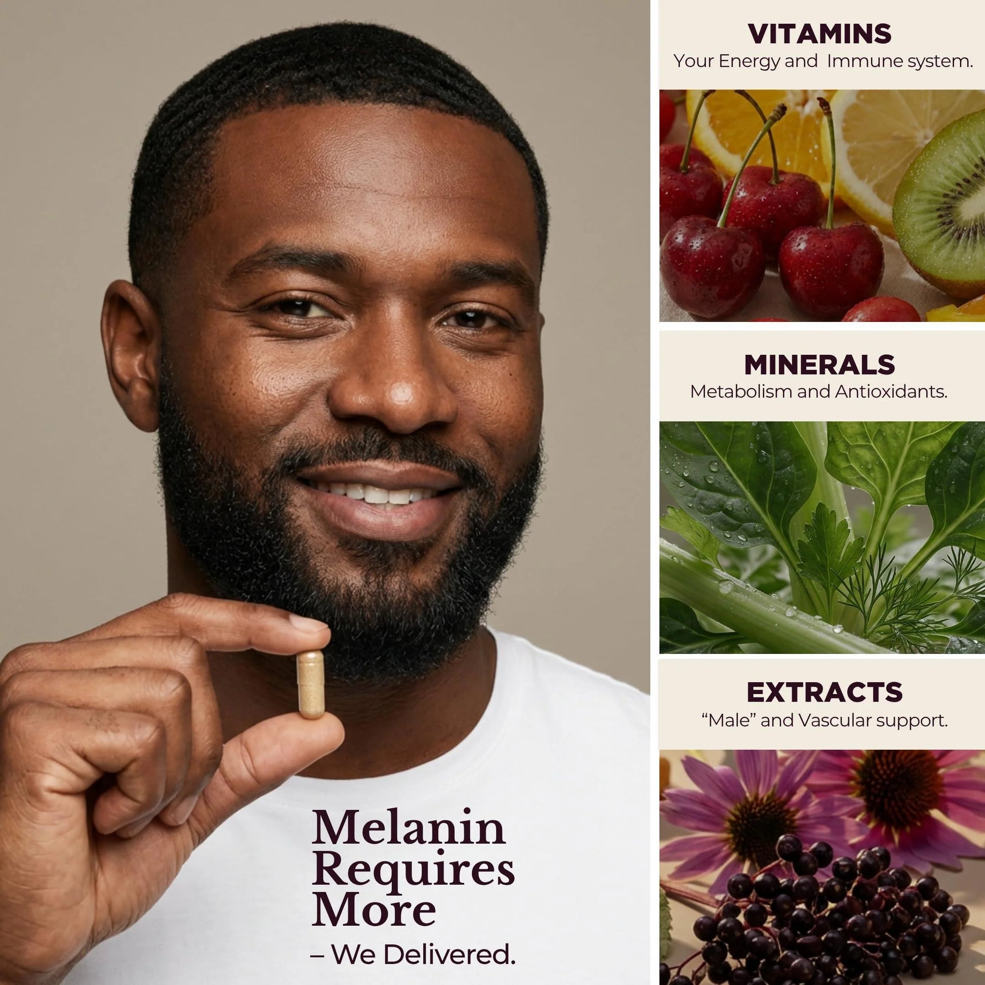 Melanin Rich Multivitamin for Men Daily Multivitamins 60 Capsules with B Complex Vitamins Vitamin D Zinc Saw Palmetto & Antioxidants 2 a Day 60 Capsules