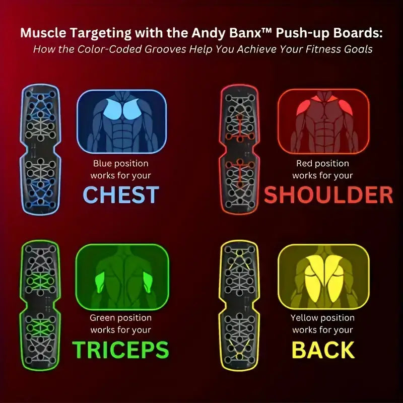 Muscle targeting with the Andy Banx push-up boards, showing color-coded positions for effective workouts.