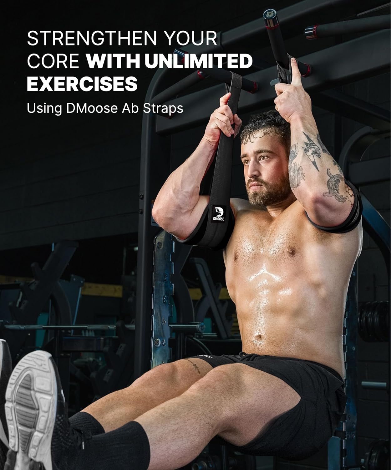 DMoose Fitness hanging ab straps with soft padding, steel carabiners, used for pull-ups, leg raises, and core strength training.