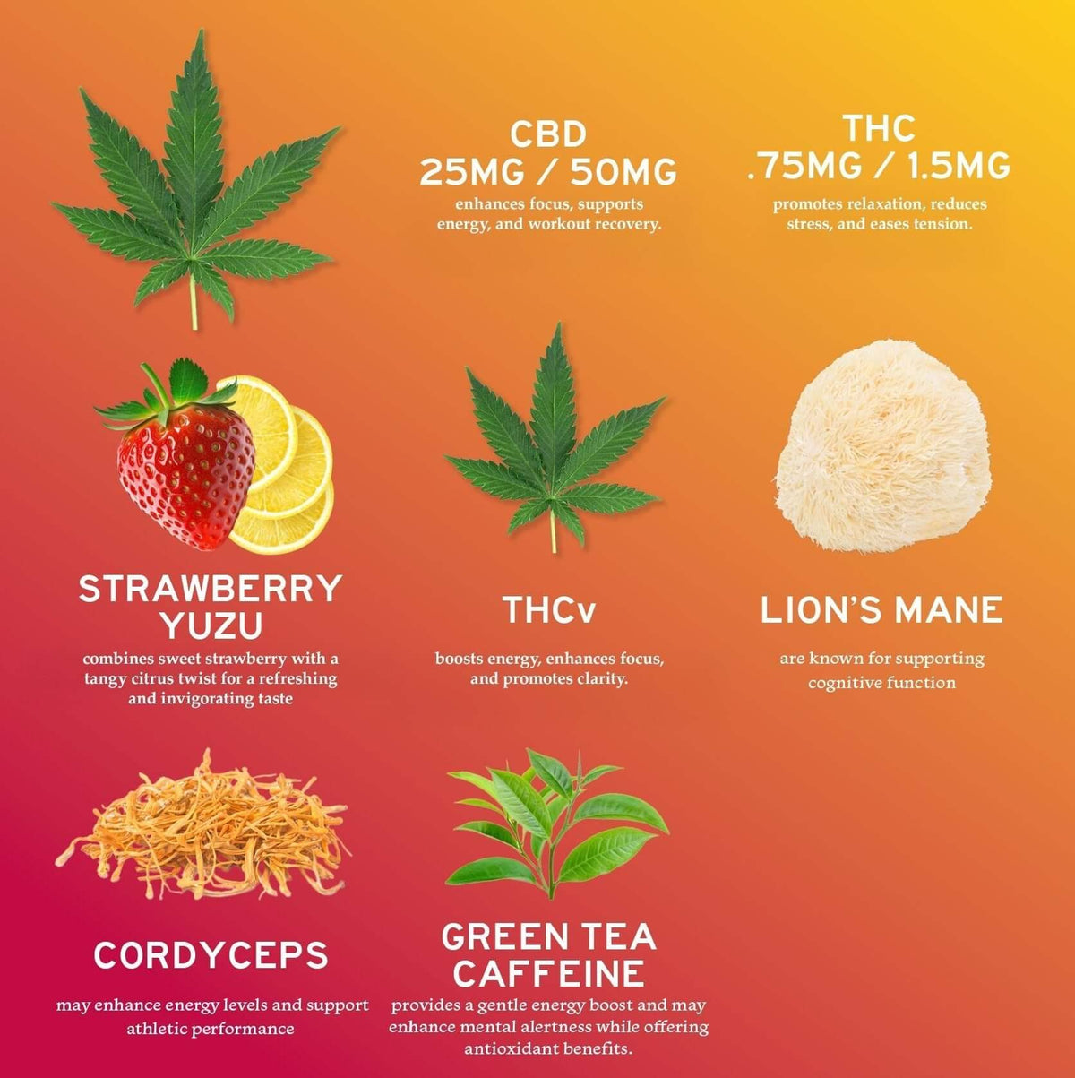 CBD uplift gummies for mood and workout ingredients with benefits including energy boost and cognitive support
