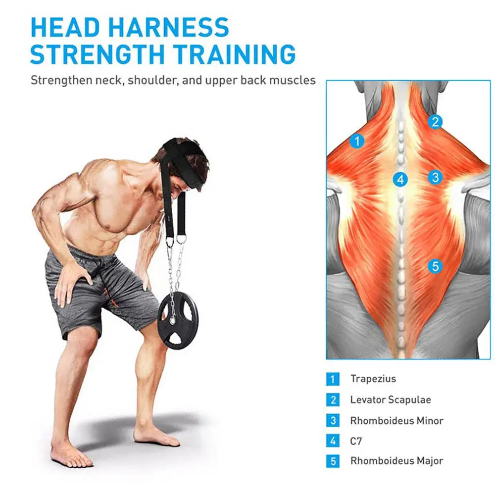 Head and Neck Training Harness - Adjustable Strap for Gym Fitness strengthening neck and back muscles during workout.