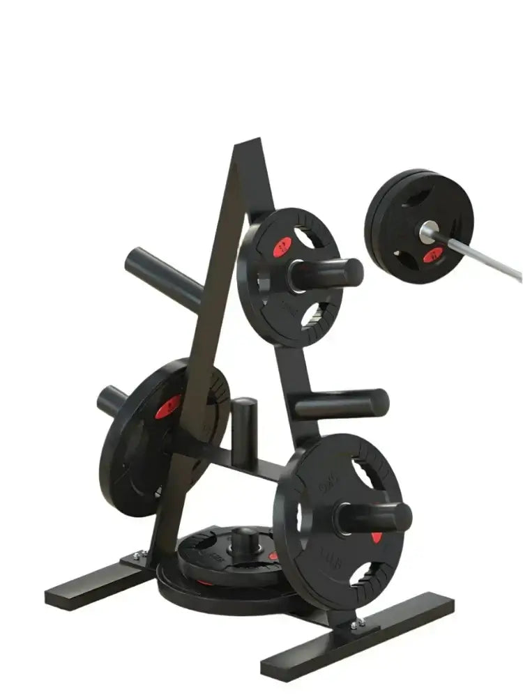 Heavy-duty barbell plate rack with multiple weight storage options for home gym and workouts.