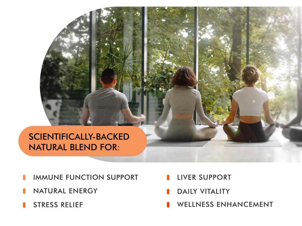 Ultra Mushrooms dietary supplement promoting immune function support, natural energy, and stress relief for an active lifestyle.