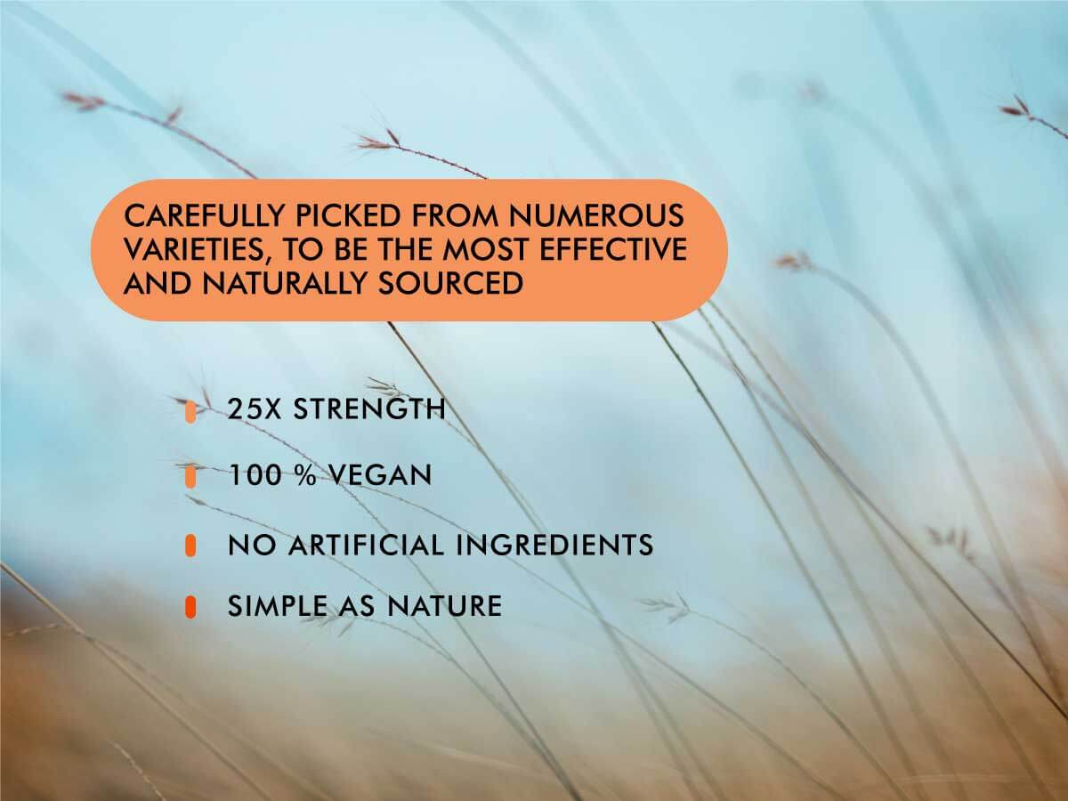 Ultra Mushrooms dietary supplement features 25X strength, 100% vegan, no artificial ingredients, and is naturally sourced.