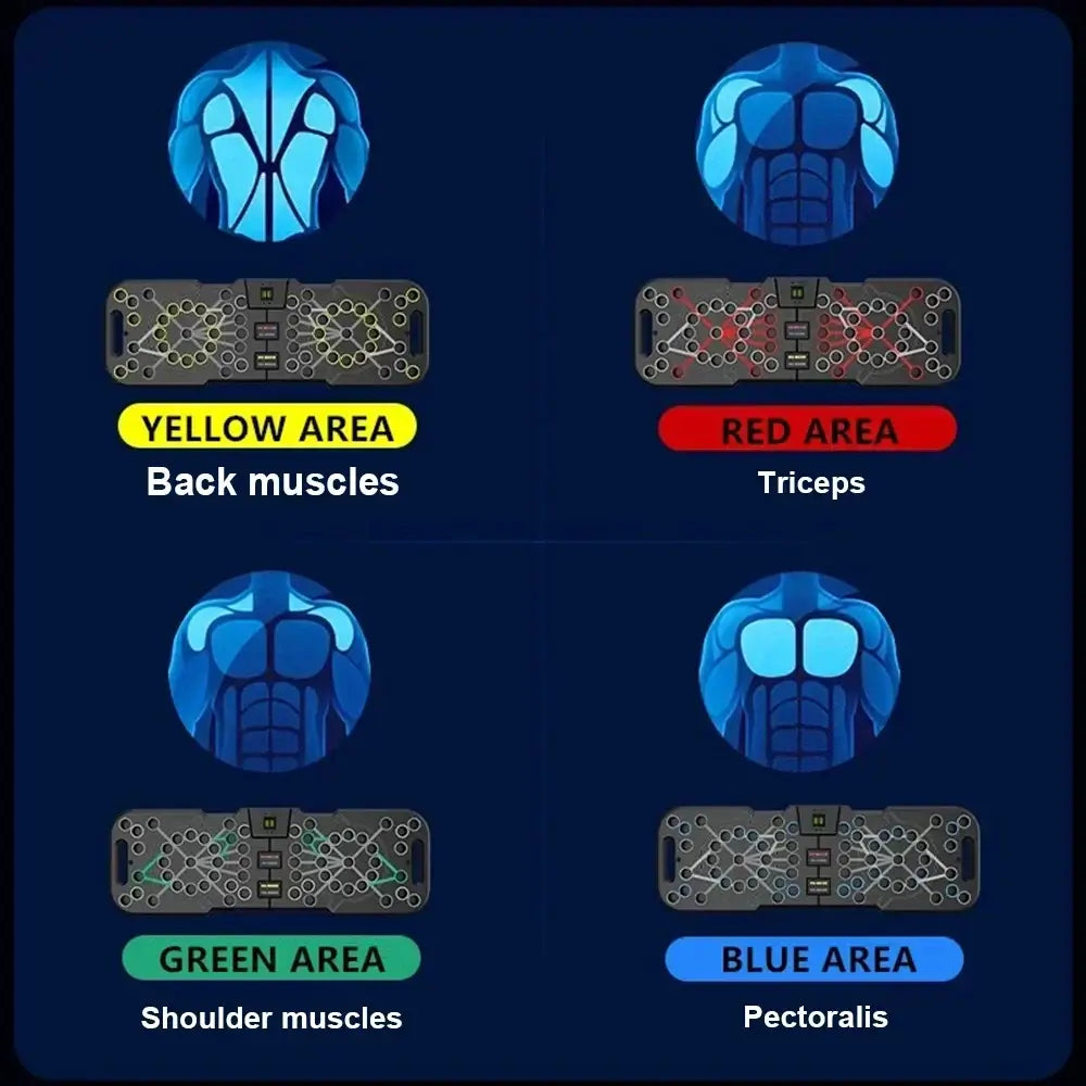 Diagram showing muscle areas targeted by the electronic push up board with counting feature: back, triceps, shoulder, and pectorals.