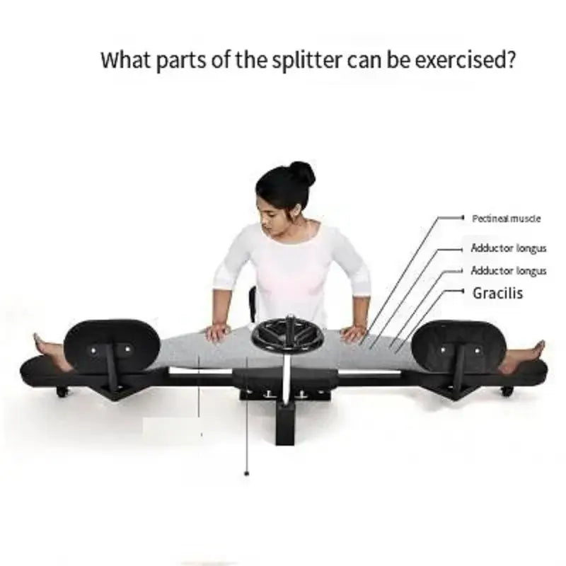 Adjustable leg stretcher for splits demonstrating the muscles targeted during use.
