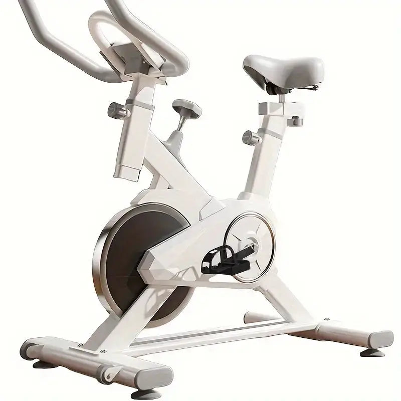 Premium indoor fitness bike for aerobic workouts, designed for home and gym use, featuring sleek modern design.
