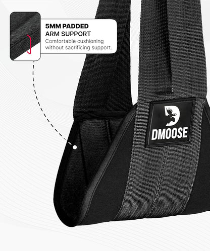 DMoose Fitness hanging ab straps with soft padding, steel carabiners, used for pull-ups, leg raises, and core strength training.