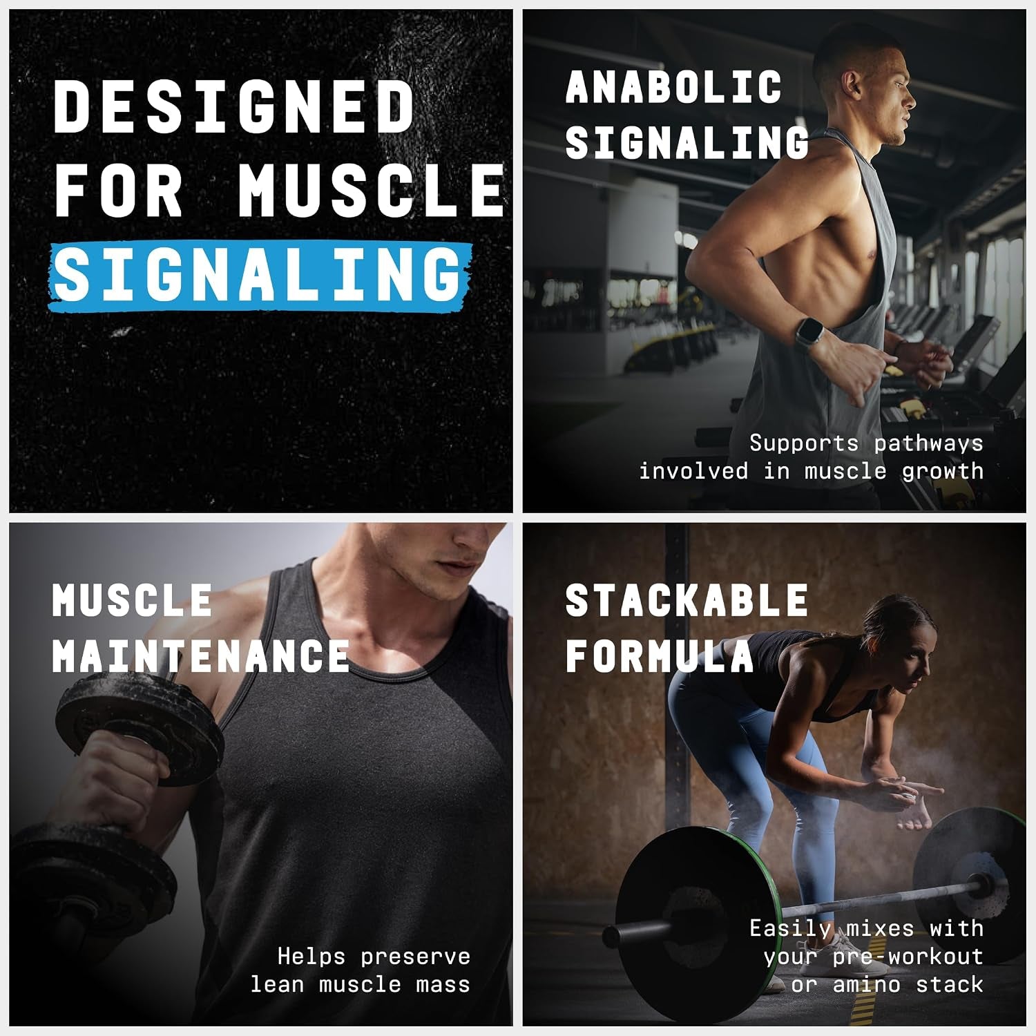 BEYOND RAW Chemistry Labs L-Leucine Powder, Fuels Muscles, 30 Servings