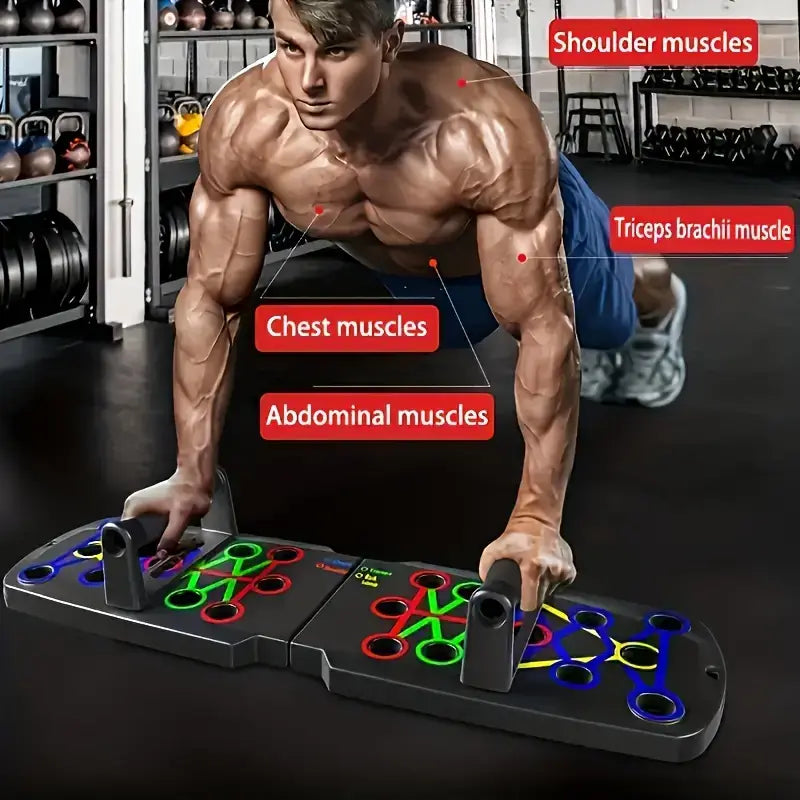 Muscle engagement during workout on a folding push up board for home workouts highlighting chest, triceps, and abs.