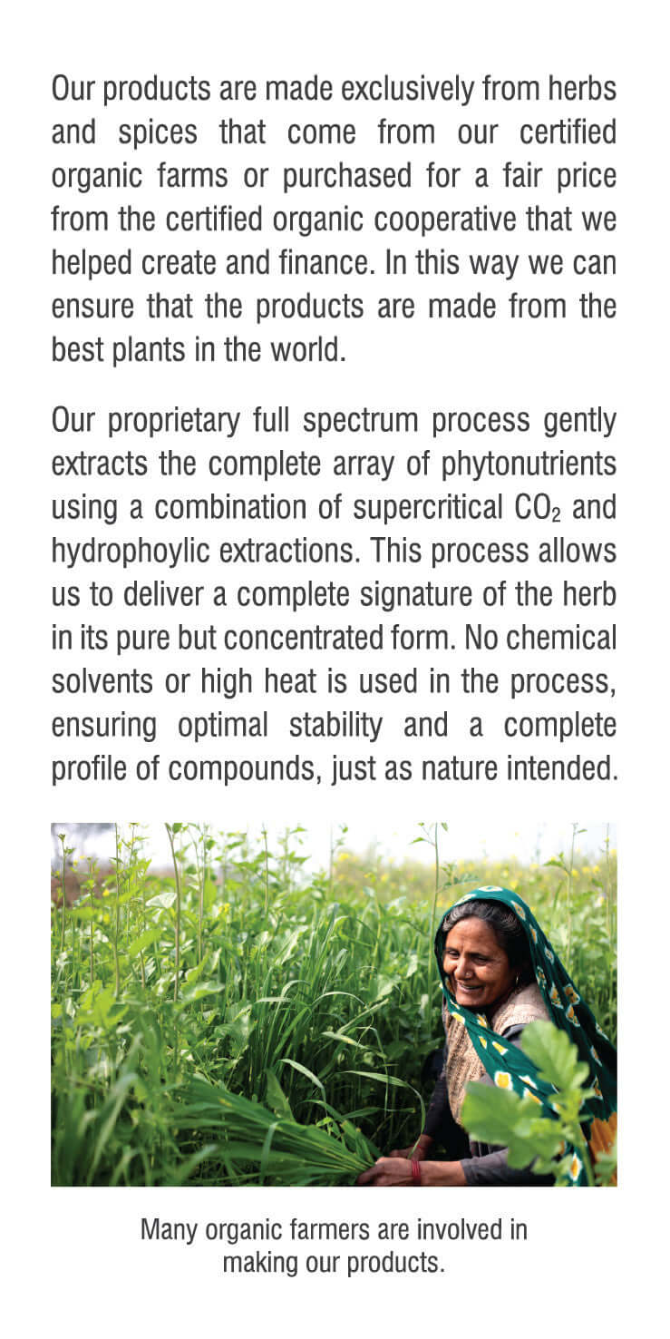Organic farmer smiling while harvesting holy basil for the holy basil workout supplement.