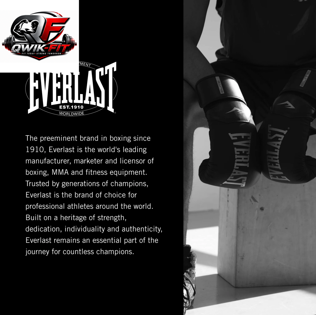Everlast Heavy Duty Punching Bag Kit - Includes Elite Cardio Gloves & Hand Wraps for Ultimate Training Experience
